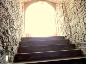 Samostanska klet Frančiškanskega samostana 3